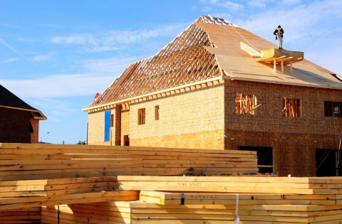 maison en bois